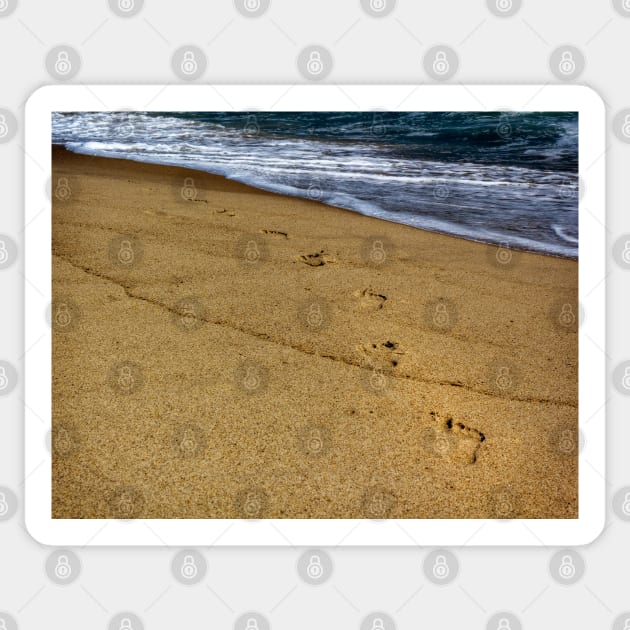 Foot Steps On The Beach Sticker by Robert Alsop